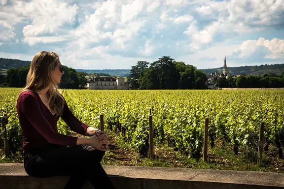 Barton & Guestier Wines Vineyard in France