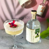 Clovendoe Stem Non-Alcoholic Spirit Bottle and coconut and pineapple cocktail
