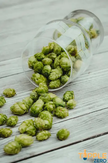 hops in a glass