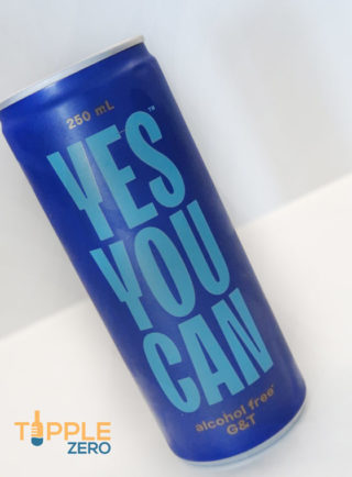 Yes You Can Drinks G+T Front of Can on Bench