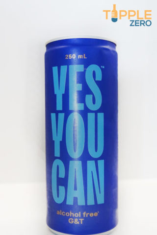Yes You Can Drinks G+T Front of Can on Bench